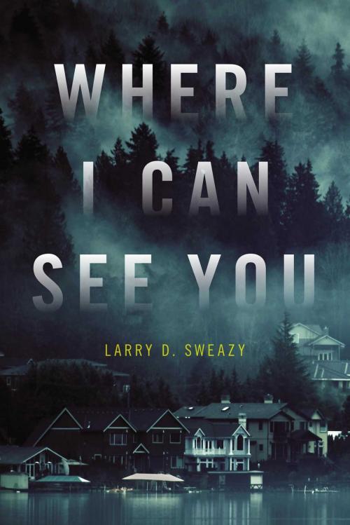 Cover of the book Where I Can See You by Larry D. Sweazy, Seventh Street Books