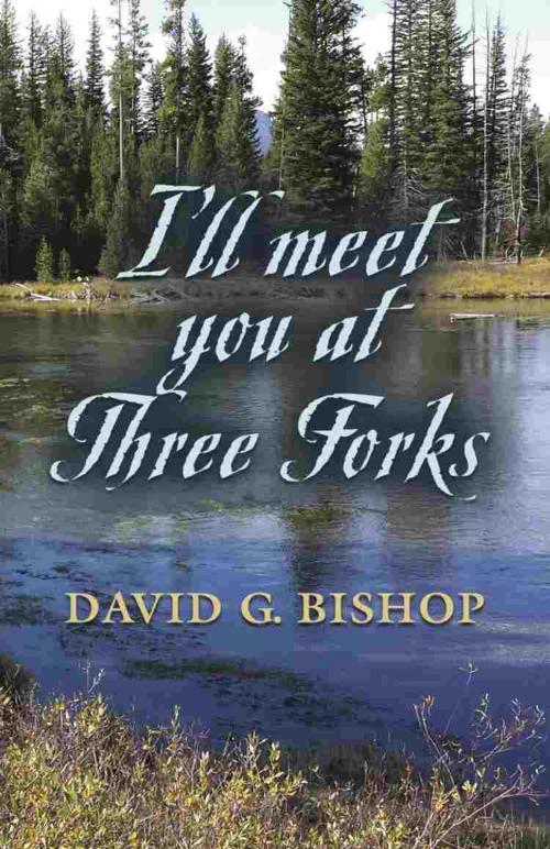 Cover of the book I'LL MEET YOU AT THREE FORKS by David G. Bishop, BookLocker.com, Inc.