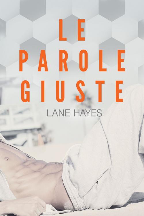 Cover of the book Le parole giuste by Lane Hayes, Dreamspinner Press