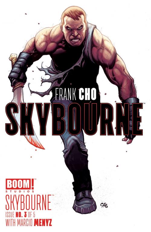 Cover of the book Skybourne #3 by Frank Cho, BOOM! Studios