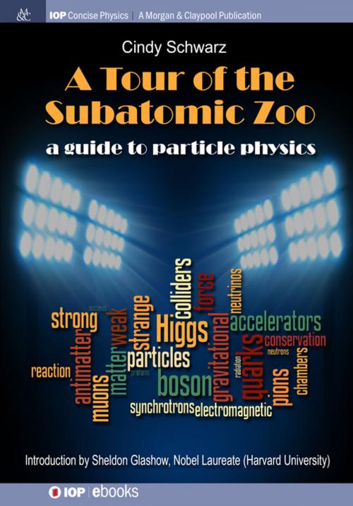 Cover of the book A Tour of the Subatomic Zoo by Cindy Schwarz, Morgan & Claypool Publishers