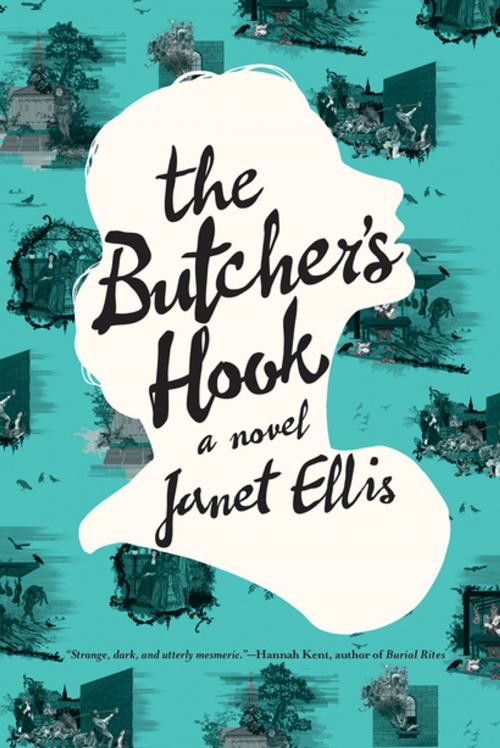 Cover of the book The Butcher's Hook: A Novel by Janet Ellis, Pegasus Books
