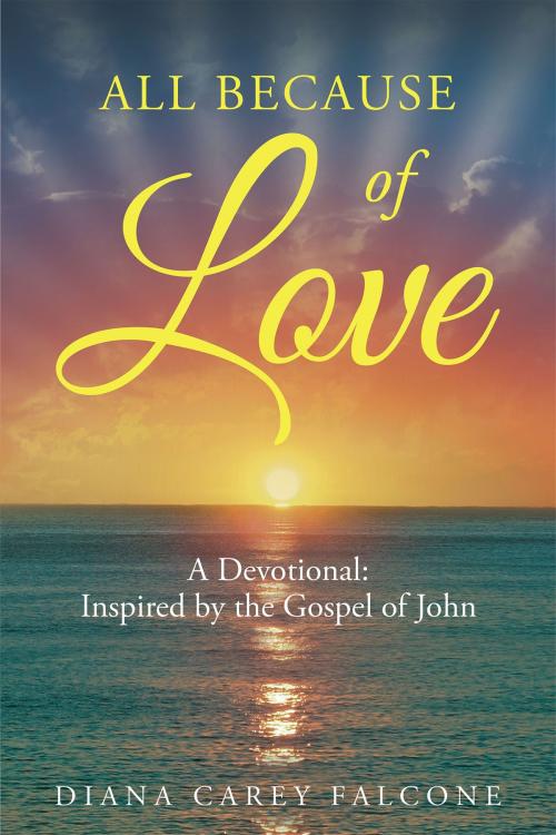 Cover of the book All Because of Love: A Devotional: Inspired by the Gospel of John by Diana Carey Falcone, Christian Faith Publishing