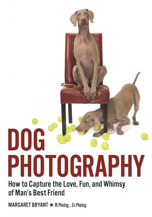 Cover of the book Dog Photography by Margaret Bryant, Amherst Media