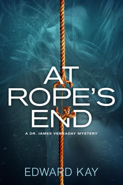 Cover of the book At Rope's End by Edward Kay, Crooked Lane Books