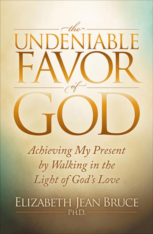 Cover of the book The Undeniable Favor of God by Elizabeth Jean Bruce, PhD, Morgan James Publishing