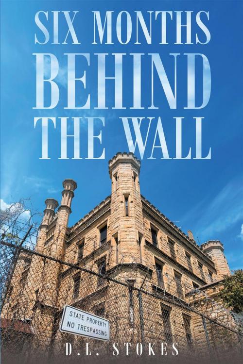 Cover of the book Six Months Behind The Wall by D.L. Stokes, Page Publishing, Inc.