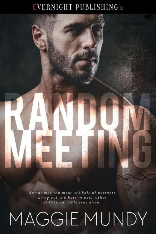 Cover of the book Random Meeting by Maggie Mundy, Evernight Publishing
