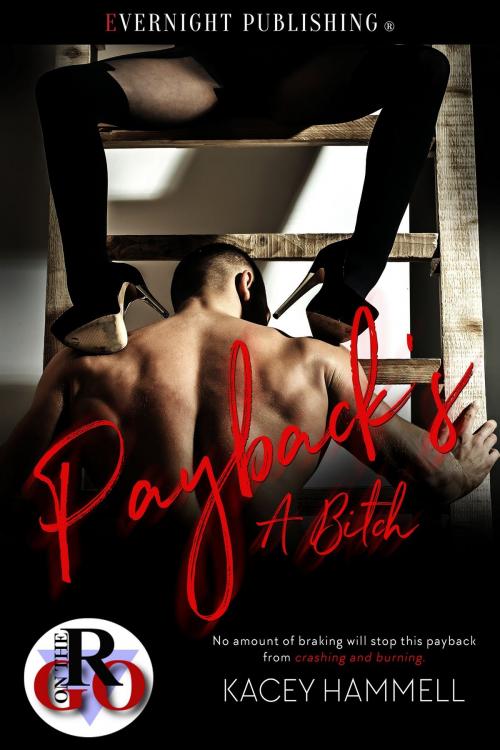 Cover of the book Payback's a Bitch by Kacey Hammell, Evernight Publishing