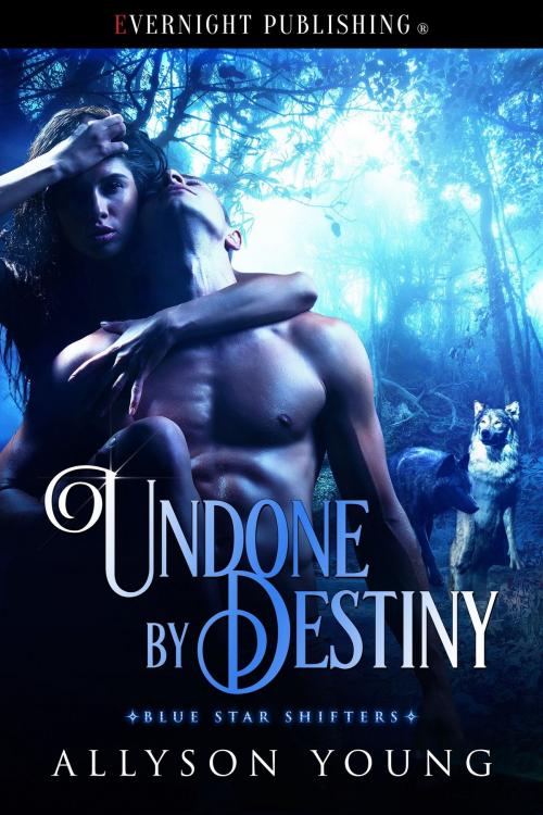 Cover of the book Undone by Destiny by Allyson Young, Evernight Publishing