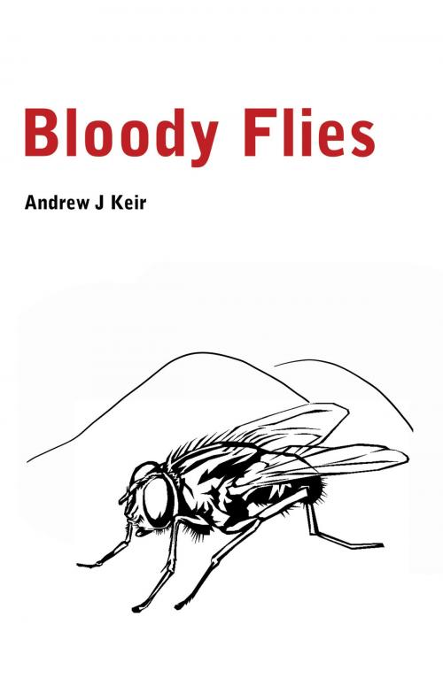 Cover of the book Bloody Flies by Andrew J Keir, Troubador Publishing Ltd