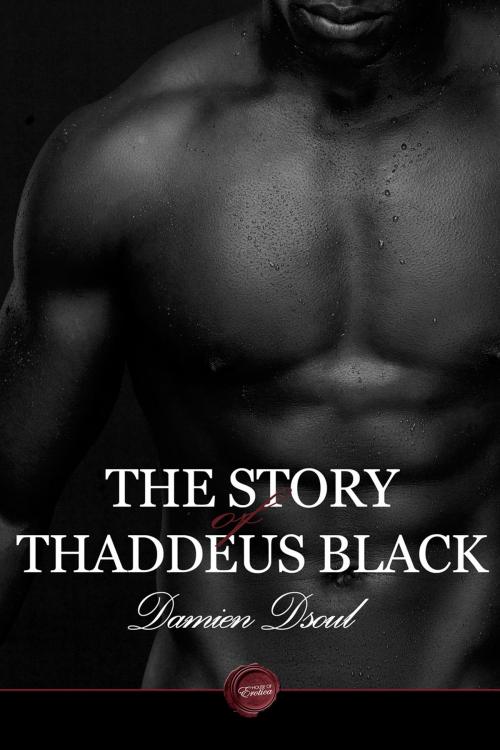 Cover of the book The Story of Thaddeus Black by Damien Dsoul, Andrews UK