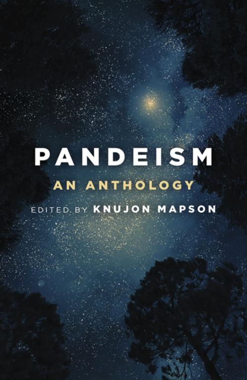 Cover of the book Pandeism by , John Hunt Publishing