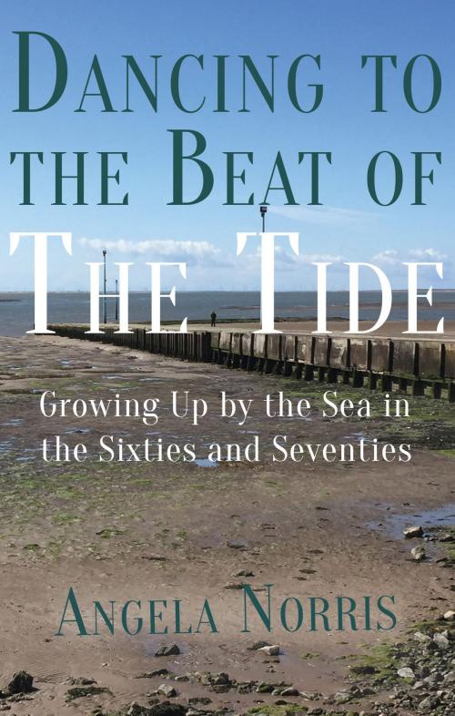 Cover of the book Dancing to the Beat of the Tide by Angela Norris, Troubador Publishing Ltd