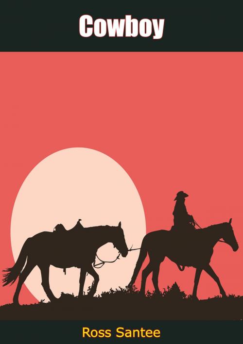 Cover of the book Cowboy by Ross Santee, Borodino Books