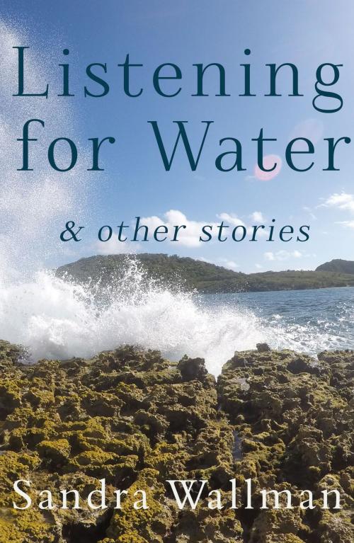 Cover of the book Listening for Water by Sandra Wallman, Troubador Publishing Ltd