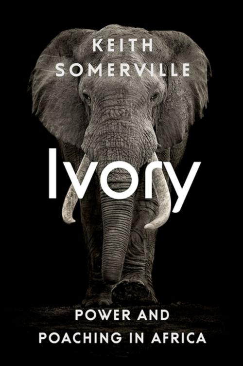 Cover of the book Ivory by Keith Somerville, Hurst