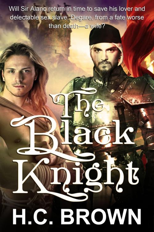 Cover of the book The Black Knight by H.C. Brown, Luminosity Publishing LLP