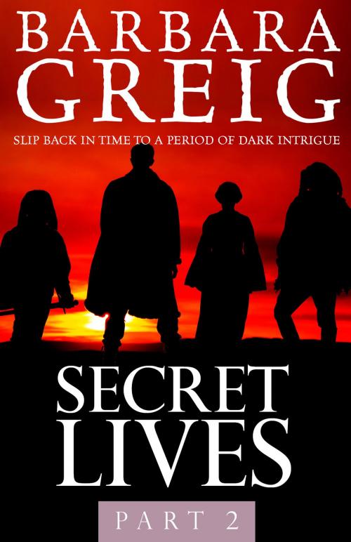 Cover of the book Secret Lives by Barbara Greig, Sacristy Press