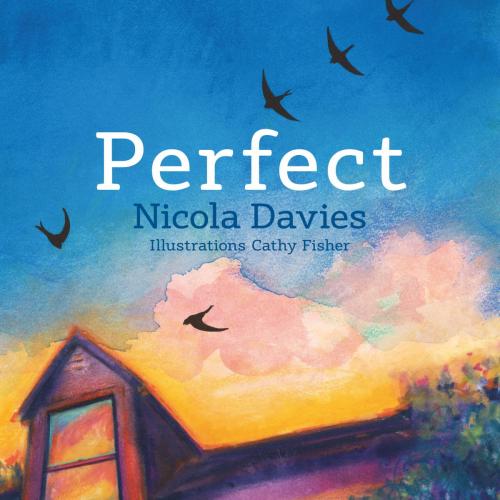 Cover of the book Perfect by Nicola Davies, Graffeg