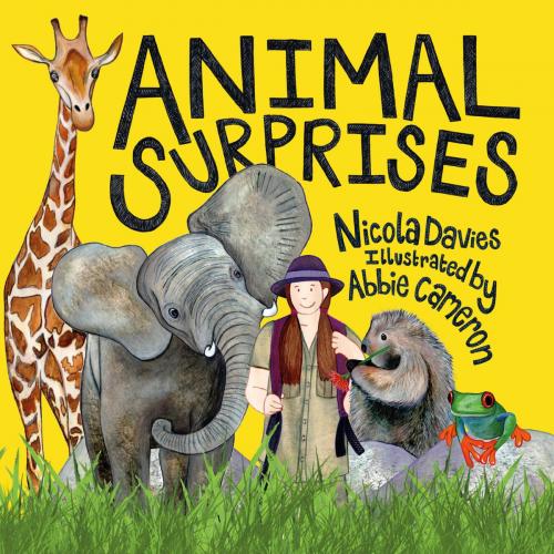 Cover of the book Animal Surprises by Nicola Davies, Graffeg