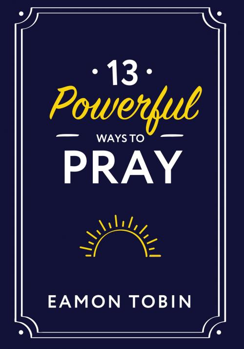 Cover of the book 13 Powerful Ways to Pray by Eamon Tobin, Wellspring