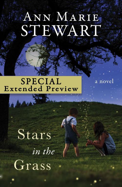 Cover of the book Stars in the Grass (FREE PREVIEW) by Ann Marie Stewart, Barbour Publishing, Inc.