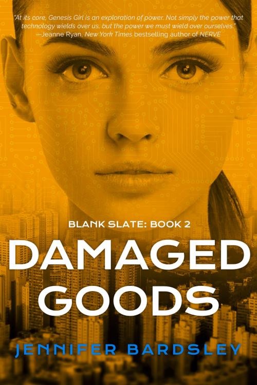 Cover of the book Damaged Goods by Jennifer Bardsley, Month9Books, LLC