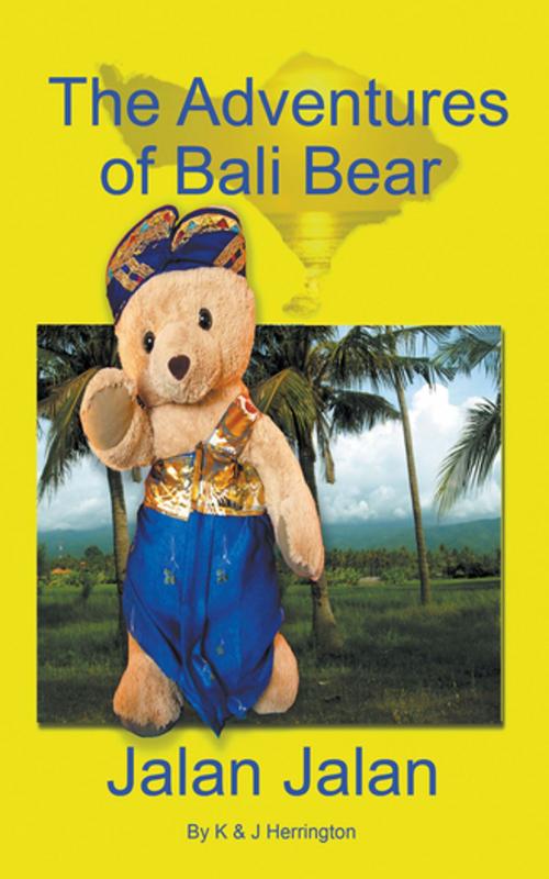 Cover of the book The Adventures of Bali Bear by Kim Herrington, John Herrington, Progressive Rising Phoenix Press, LLC