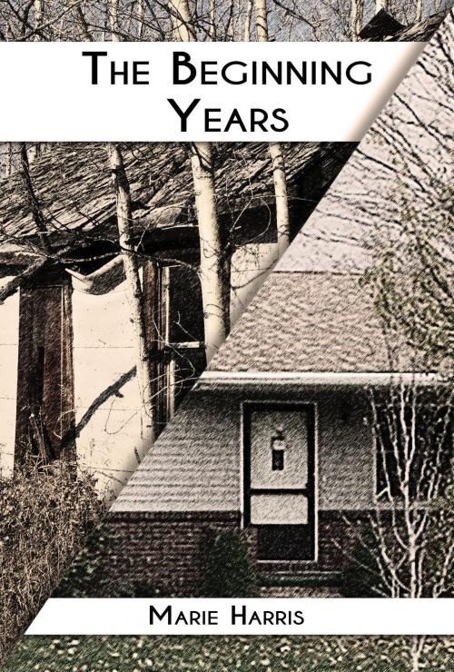 Cover of the book The Beginning Years by Marie Harris, Green Ivy