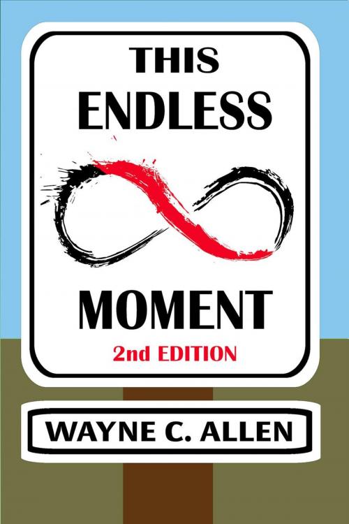 Cover of the book This Endless Moment 2nd. edition by Wayne C. Allen, The Phoenix Centre Press