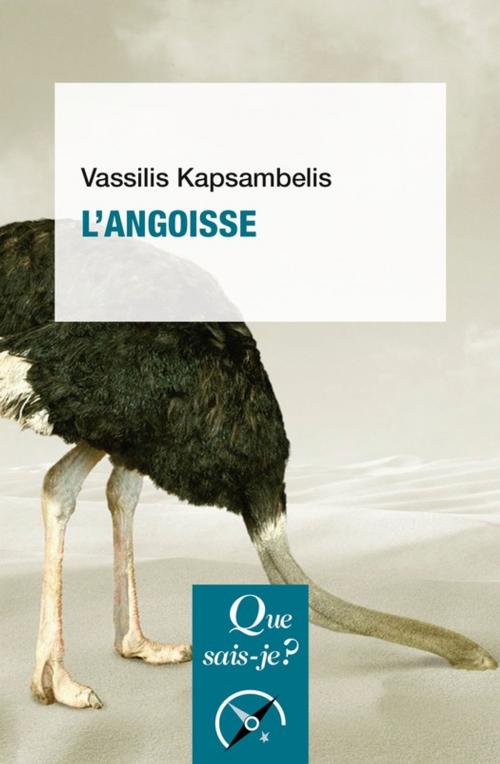 Cover of the book L'angoisse by Vassilis Kapsambelis, Presses Universitaires de France