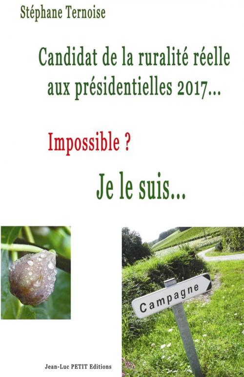 Cover of the book Candidat de la ruralité réelle aux présidentielles 2017... Impossible ? Je le suis... by Stéphane Ternoise, Jean-Luc PETIT Editions