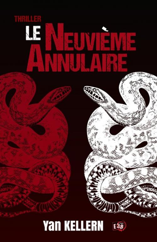Cover of the book Le Neuvième annulaire by Yan Kellern, Les éditions du 38
