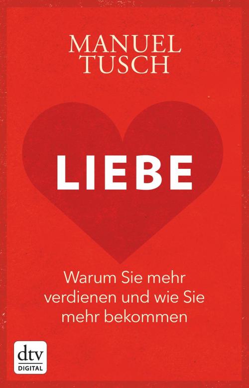 Cover of the book Liebe by Manuel Tusch, dtv