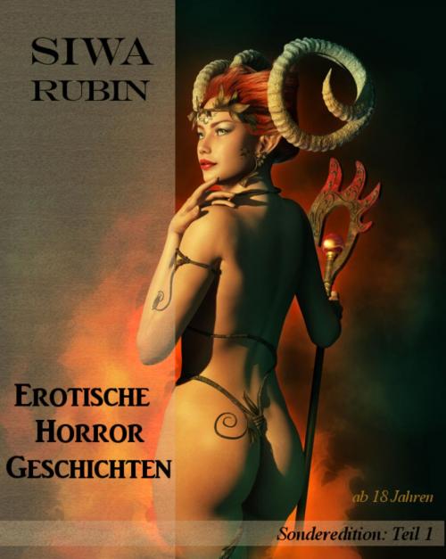 Cover of the book Erotische Horror Geschichten Teil 1 by Siwa Rubin, BookRix