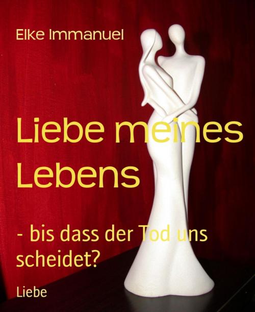 Cover of the book Liebe meines Lebens by Elke Immanuel, BookRix