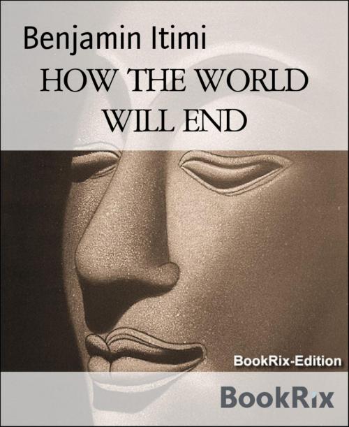 Cover of the book HOW THE WORLD WILL END by Benjamin Itimi, BookRix