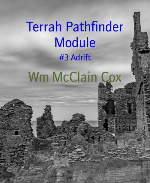 Cover of the book Terrah Pathfinder Module by Wm McClain Cox, BookRix