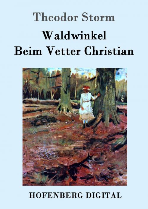 Cover of the book Waldwinkel / Beim Vetter Christian by Theodor Storm, Hofenberg