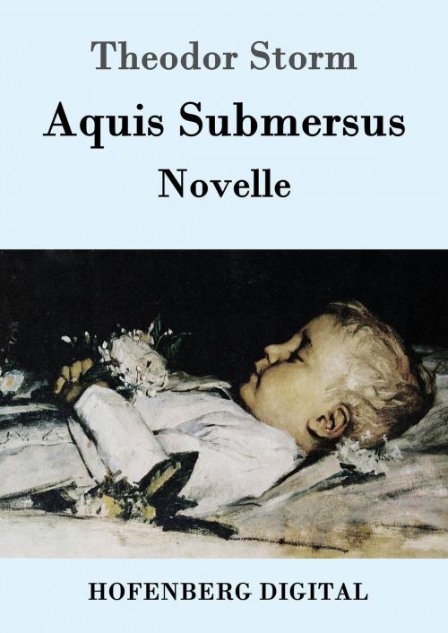 Cover of the book Aquis Submersus by Theodor Storm, Hofenberg