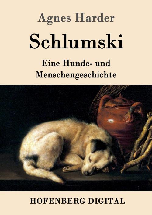 Cover of the book Schlumski by Agnes Harder, Hofenberg