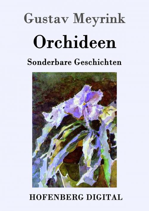 Cover of the book Orchideen by Gustav Meyrink, Hofenberg