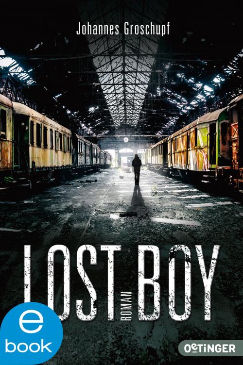 Cover of the book Lost Boy by Johannes Groschupf, Oetinger Taschenbuch