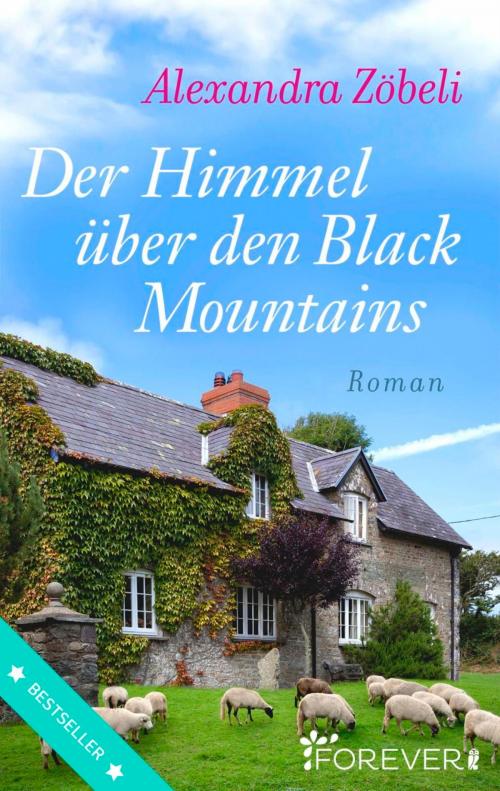 Cover of the book Der Himmel über den Black Mountains by Alexandra Zöbeli, Forever