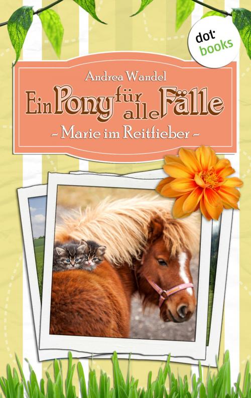Cover of the book Ein Pony für alle Fälle - Zweiter Roman: Marie im Reitfieber by Andrea Wandel, dotbooks GmbH