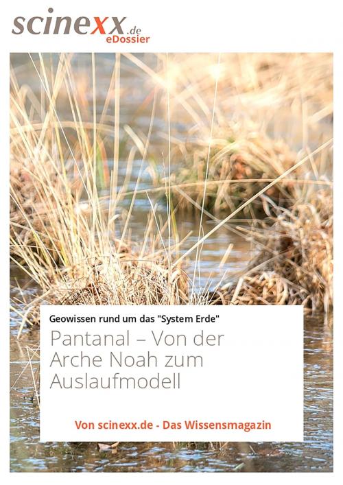 Cover of the book Pantanal by Dieter Lohmann, YOUPublish