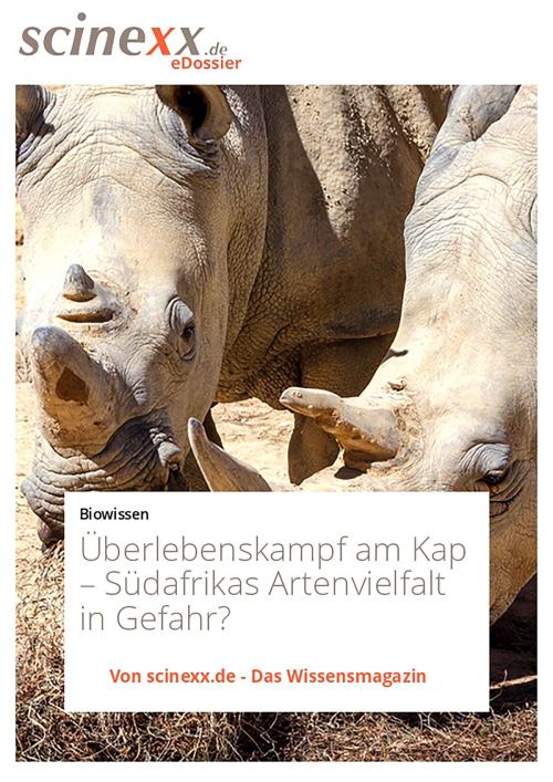 Cover of the book Überlebenskampf am Kap by Dieter Lohmann, YOUPublish