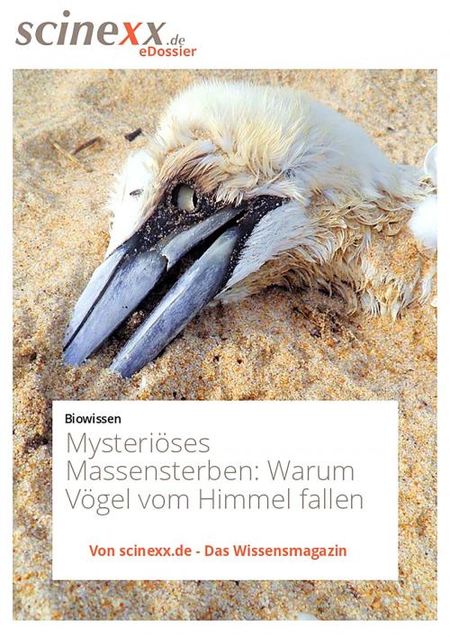 Cover of the book Mysteriöse Massensterben by Dieter Lohmann, YOUPublish