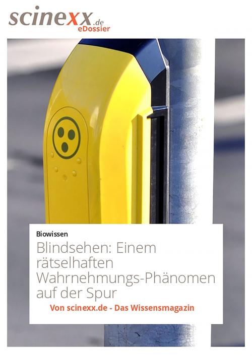 Cover of the book Blindsehen by Nadja Podbregar, YOUPublish